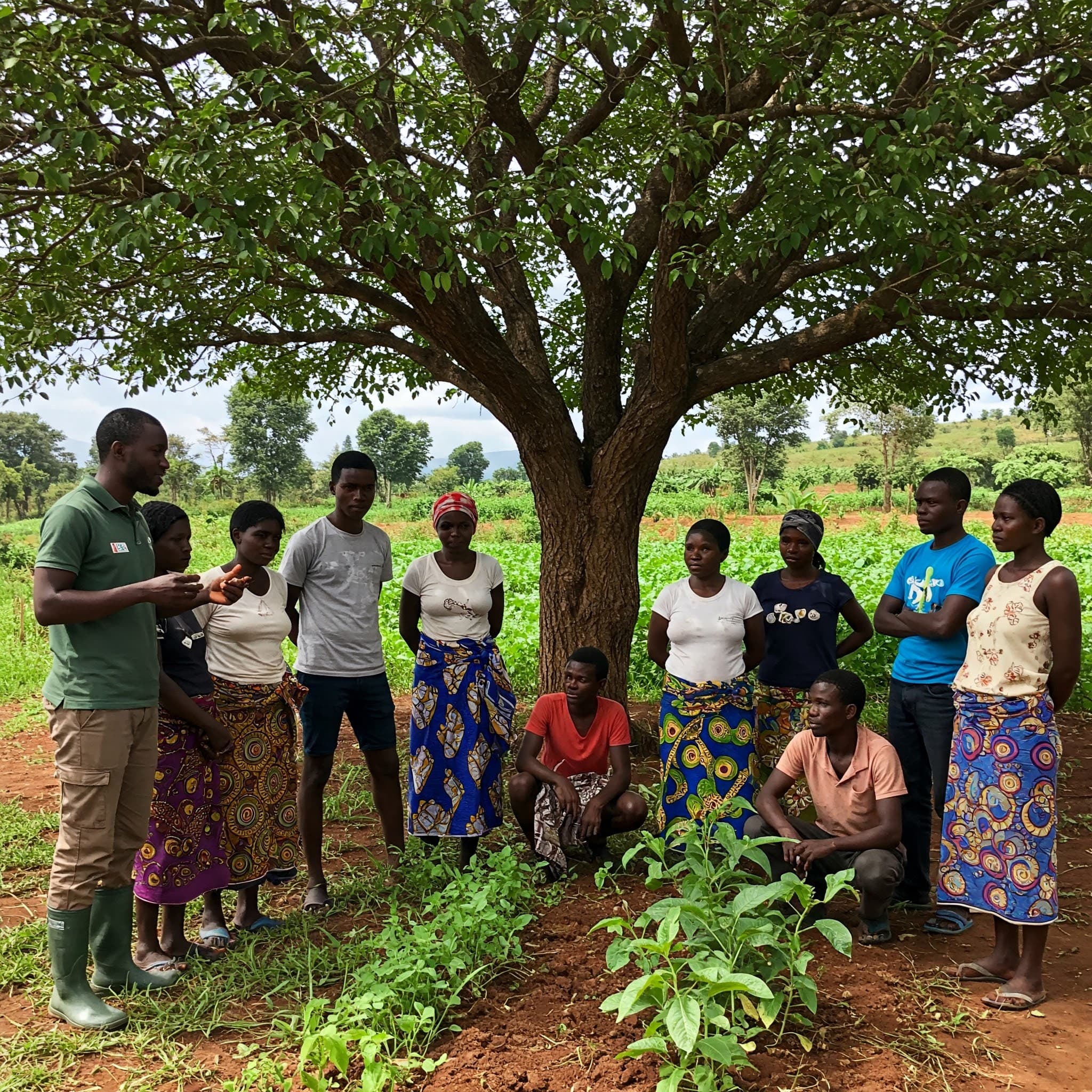 Community members participating in an agricultural training program